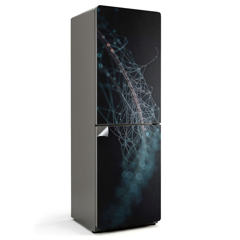 Fototapeta na chladničku Abstraktní čáry a bubliny