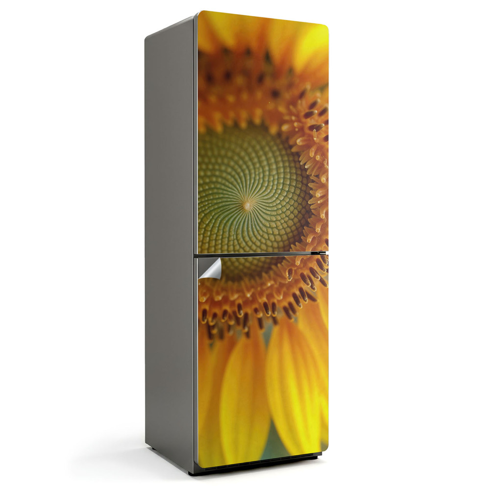 Fototapeta na chladničku Slunečnicový vzor v detailu