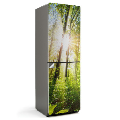 Nálepky na chladničku Sluneční paprsky pronikající skrz