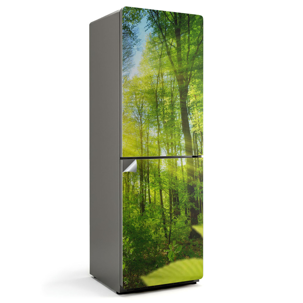 Fototapeta na chladničku Sluneční paprsky v lese