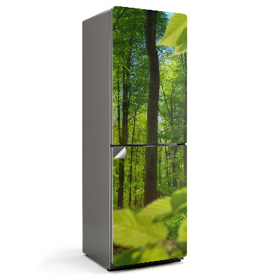 Nálepky na chladničku Zelený les na slunci