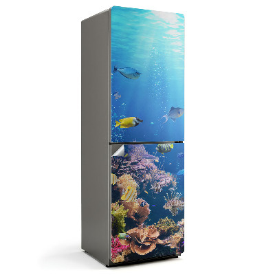 Fototapeta na chladničku Podmořský svět korálů