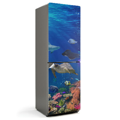 Fototapeta na chladničku Podmořský svět plný života