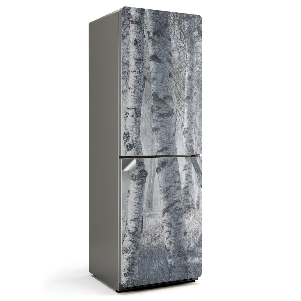 Fototapeta na chladničku Mlžný březový les