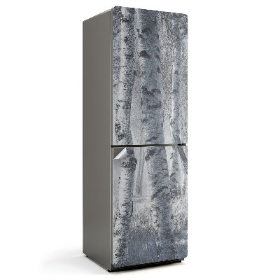 Fototapeta na chladničku Mlžný březový les