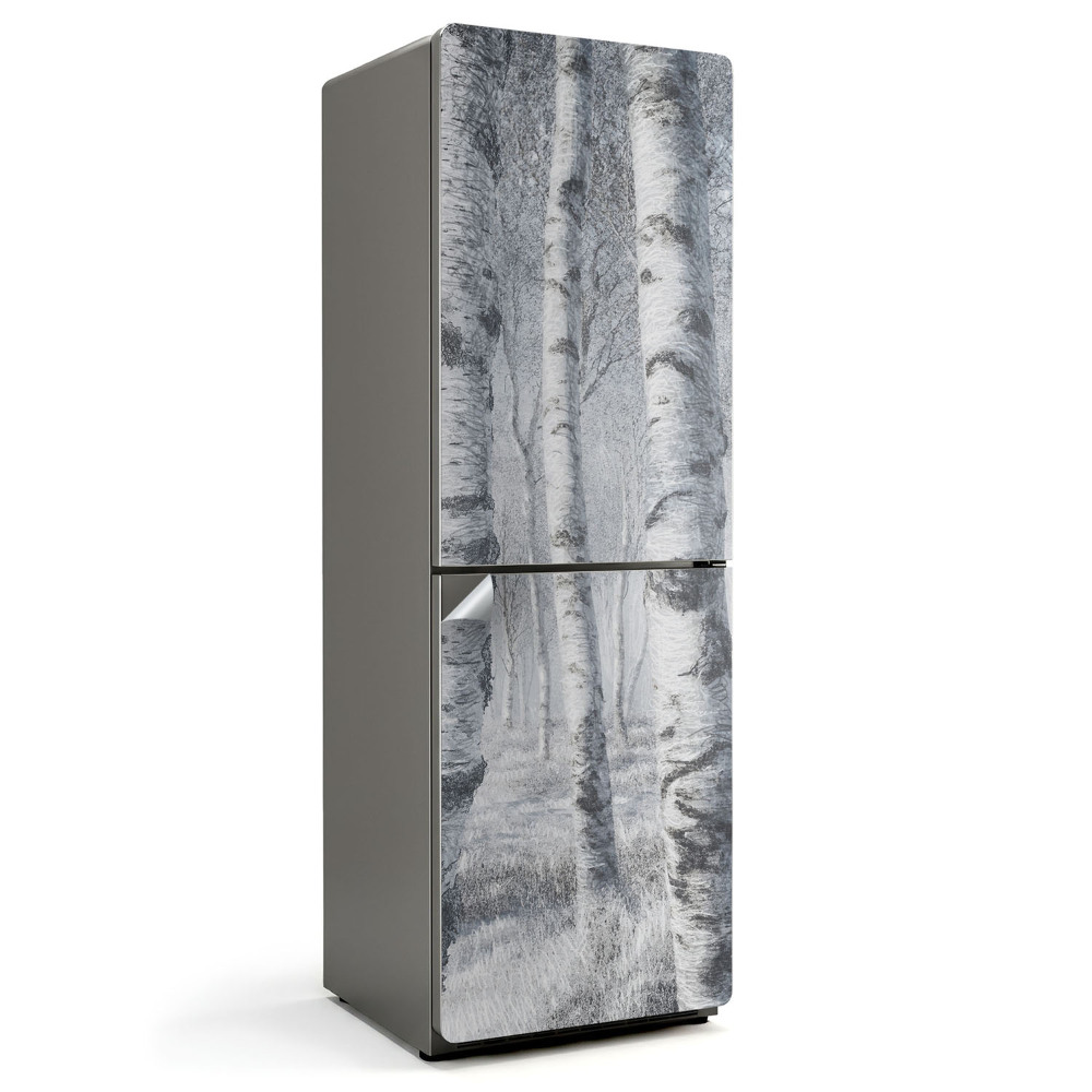 Fototapeta na chladničku Lesní krajina se stromy