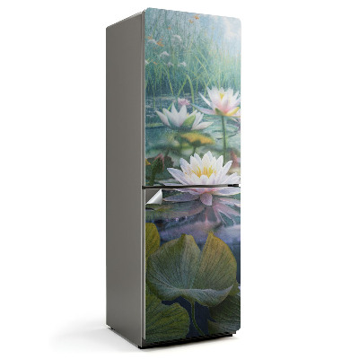 Fototapeta na chladničku Lilie na hladině jezera