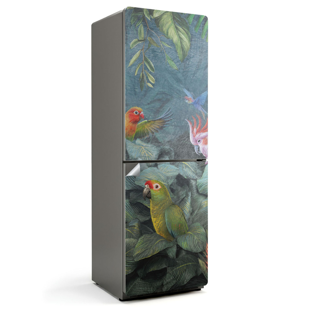 Nálepky na chladničku Tropičtí ptáci v džungli