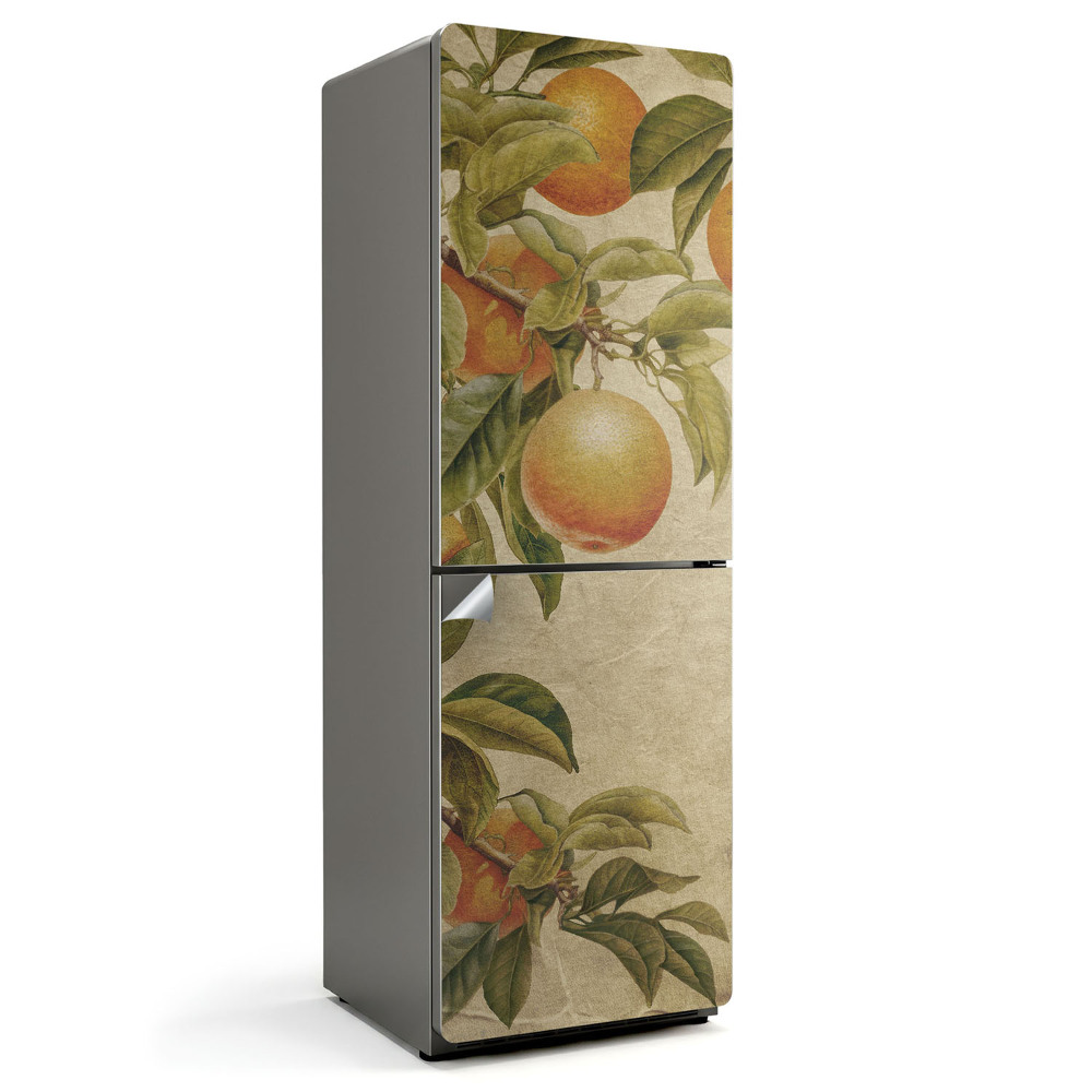 Fototapeta na chladničku Větve s ovocem