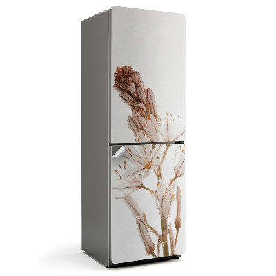 Fototapeta na chladničku Detail jemné rostliny