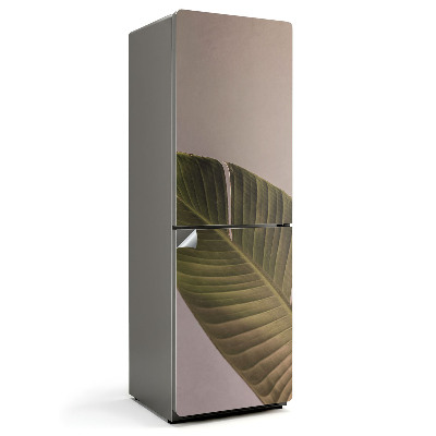 Fototapeta na chladničku List s výraznou žilnatinou