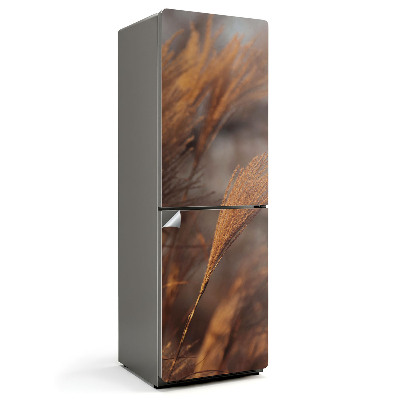 Fototapeta na chladničku Jemná stébla trávy