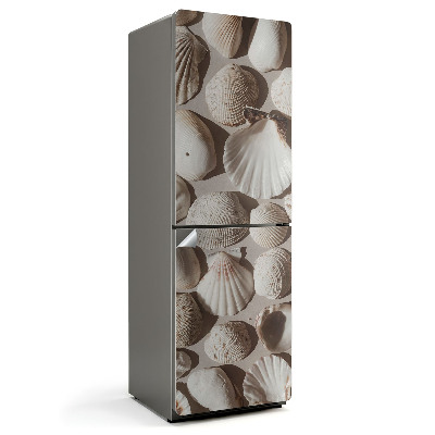 Fototapeta na chladničku kompozice ze skořápek