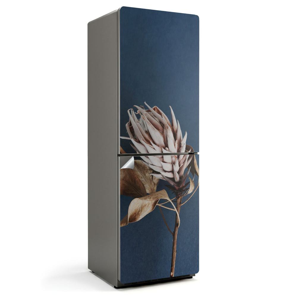 Fototapeta na chladničku Detailní záběr na sušené rostliny