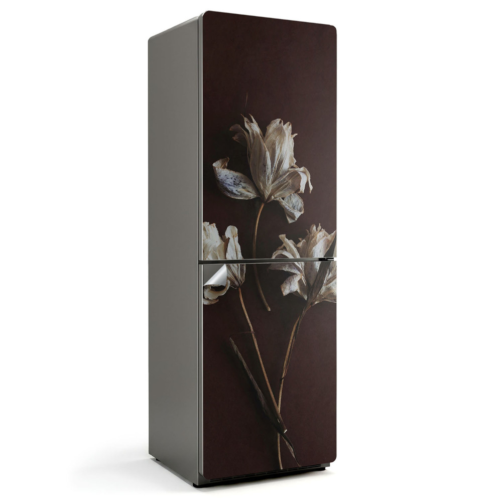 Nálepky na chladničku Sušené květiny v detailu