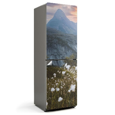 Fototapeta na chladničku Horská krajina s loukou