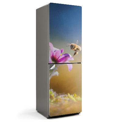 Nálepky na chladničku Hmyz a květina v detailu