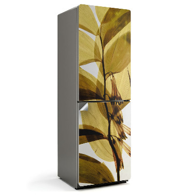 Fototapeta na chladničku Průhledné listy a květy