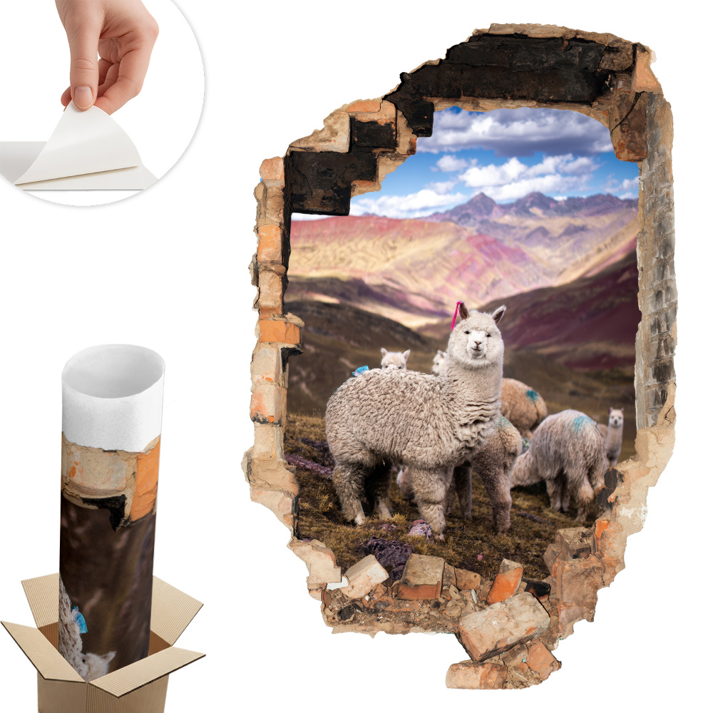 Fototapeta díra ve zdi 66x100 Alpačí hory