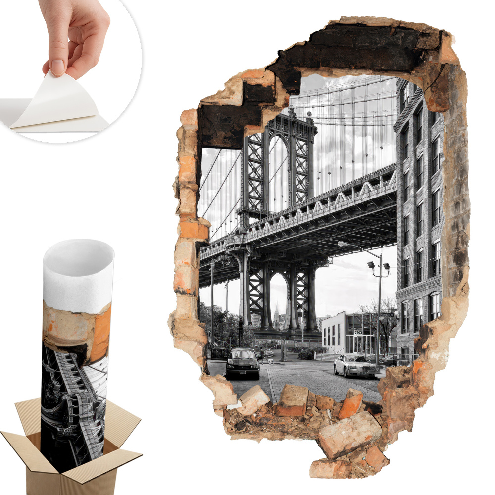 Fototapeta díra ve zdi 66x100 Městská krajina