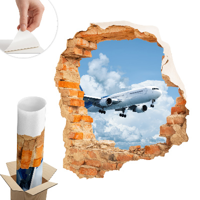 Fototapeta díra ve zdi 85x100 Letecký objev