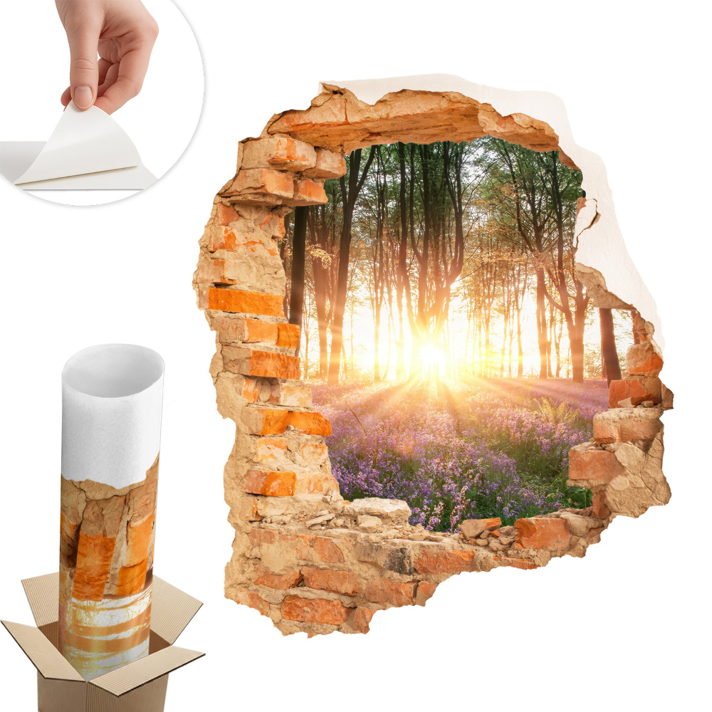 Fototapeta díra ve zdi 85x100 Průlom v lese