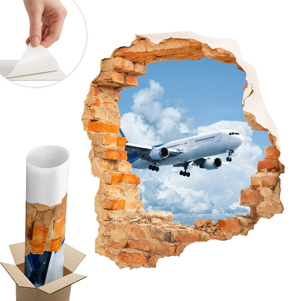 Fototapeta díra ve zdi 111x130 Letecký objev