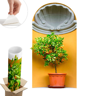 3D samolepka na zeď 71x130 Pomerančovník