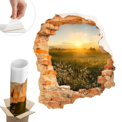 3D samolepka díra 51x60 Slunečná louka