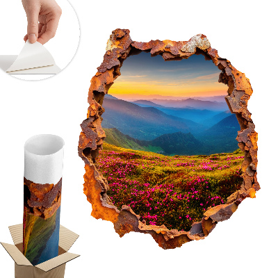 3D samolepka díra 50x60 Květinové hory