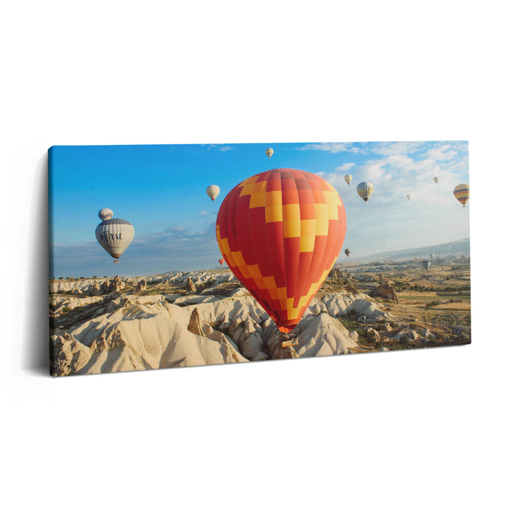 Obraz canvas 100x50 cm Létající balóny