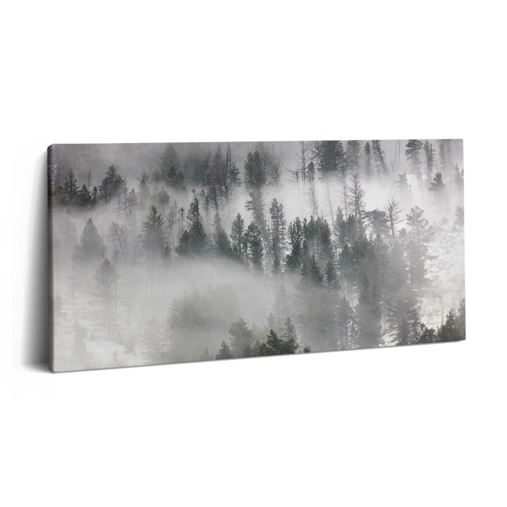 Obraz na plátně 100x50 cm Mlžná krajina lesa