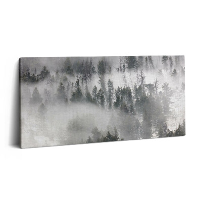 Obraz na plátně 100x50 cm Mlžná krajina lesa