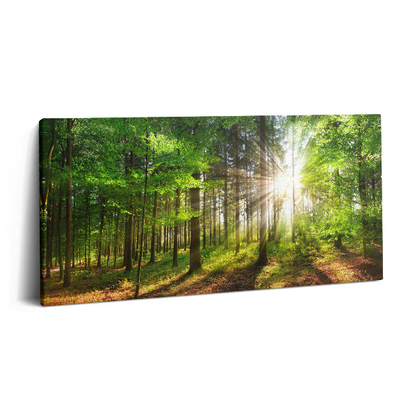Obraz na plátně 100x50 cm Les a východ slunce