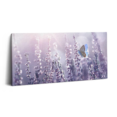 Obraz na plátně 100x50 cm Motýl na polních květinách