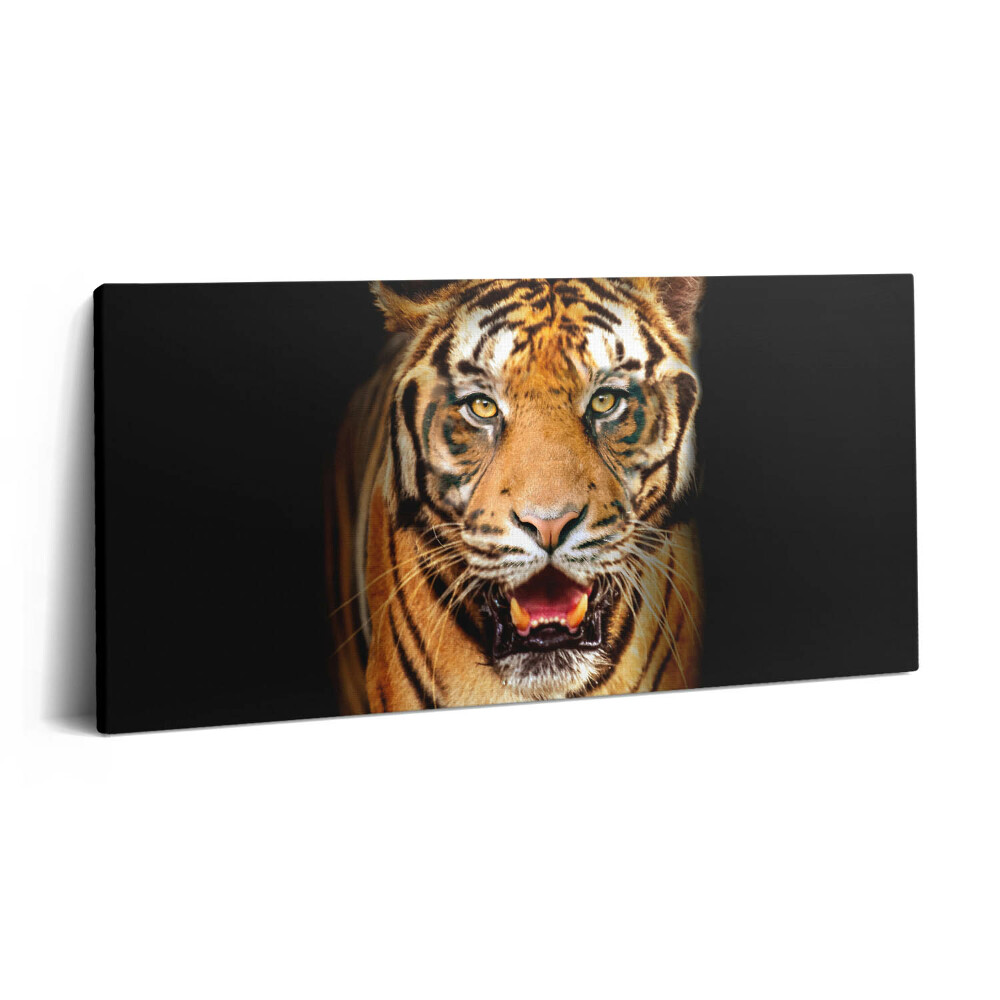 Obraz z fotografie na plátně 100x50 cm Výrazná divoká tygří kočka