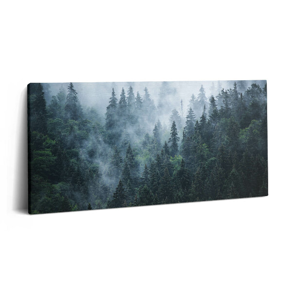 Obraz na plátně 100x50 cm Mlžná horská krajina