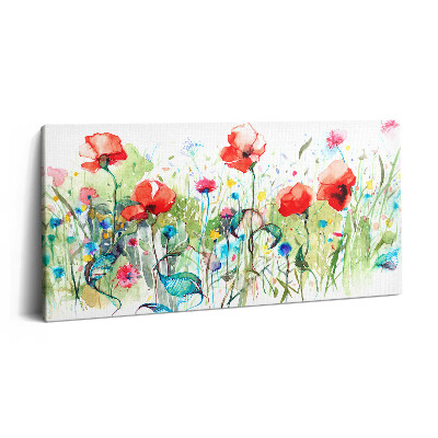 Obraz canvas 100x50 cm Mák na louce