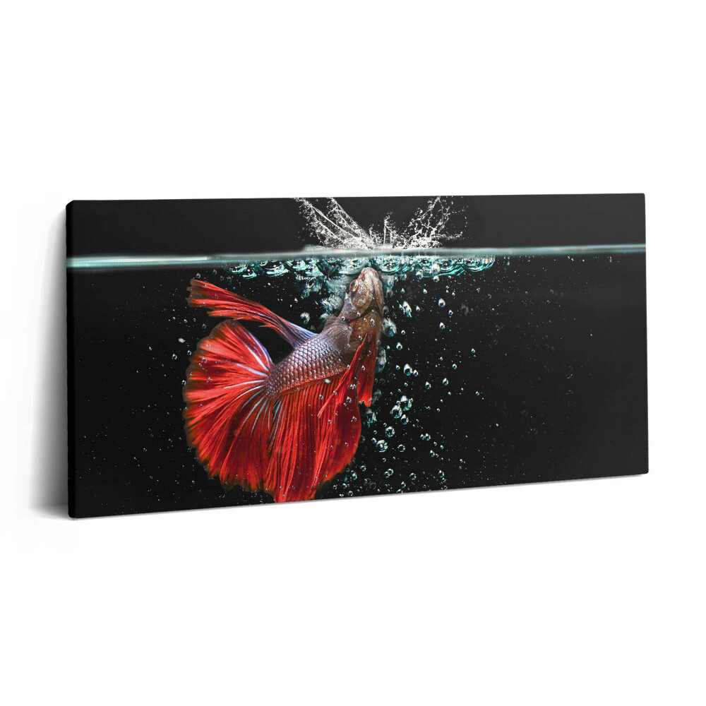 Obraz z fotografie na plátně 100x50 cm Ryby v akváriu