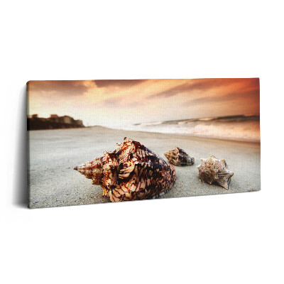 Obraz na plátně 100x50 cm Mušle na pláži