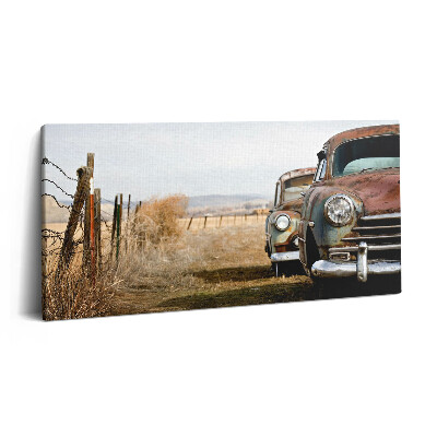 Obraz na plátně 100x50 cm Stará opuštěná auta