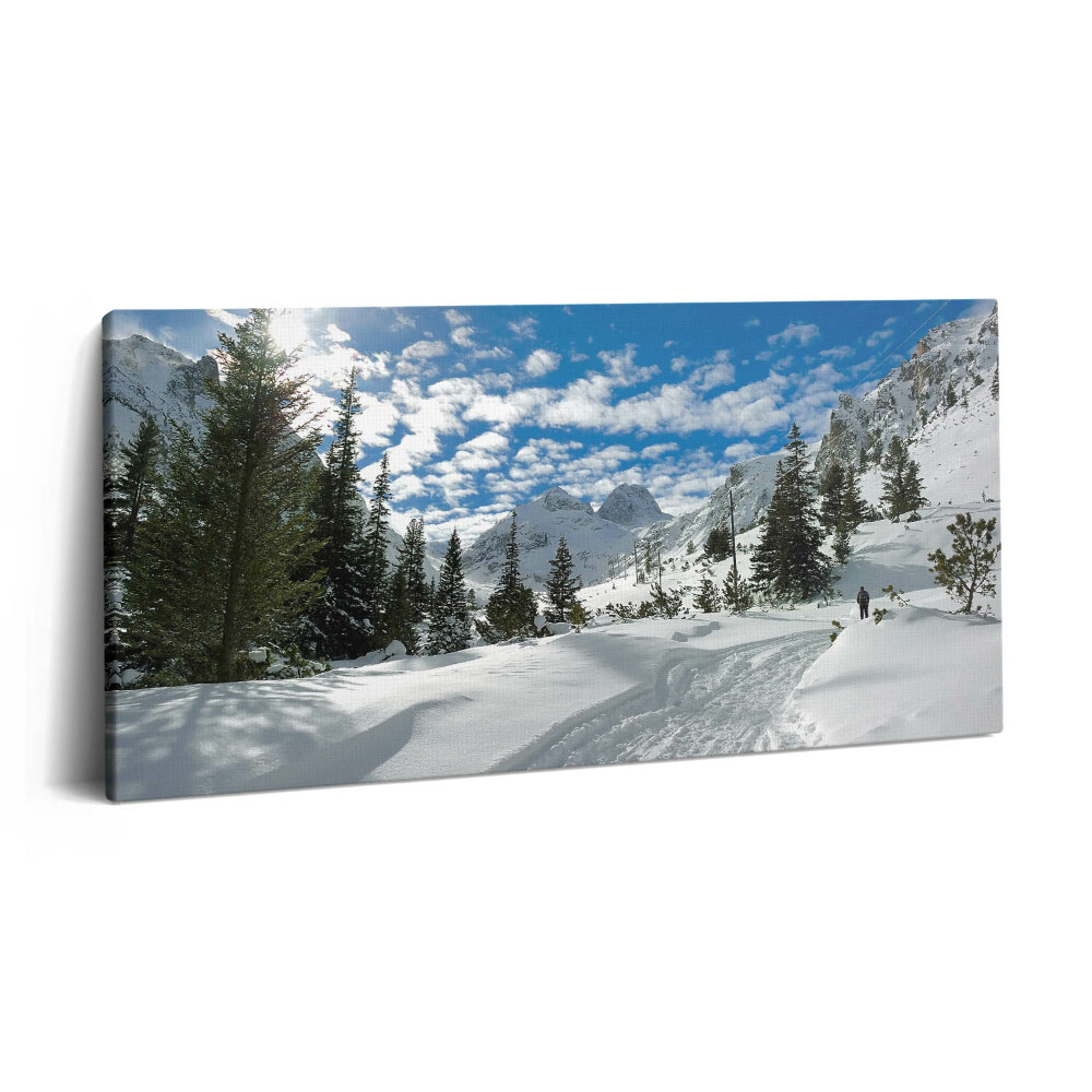 Obraz z fotografie na plátně 100x50 cm Hornatá krajina v zimě