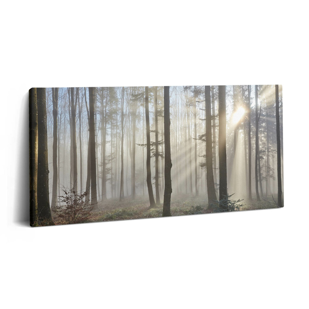 Obraz z fotografie na plátně 100x50 cm Les v mlze
