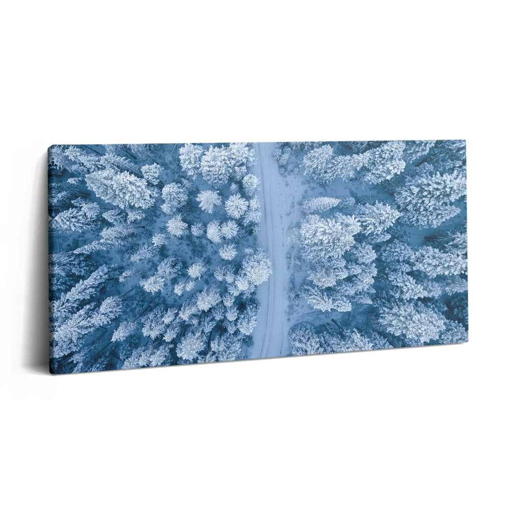 Obraz na plátně 100x50 cm Les z ptačí perspektivy. Drony