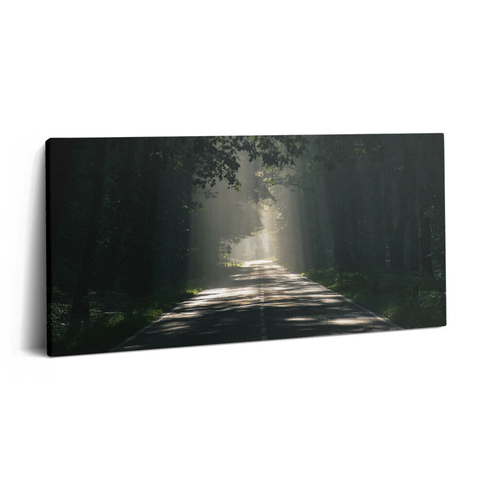 Obraz z fotografie na plátně 100x50 cm Lesní cesta a pruhy slunečního světla