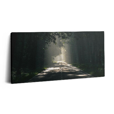 Obraz z fotografie na plátně 100x50 cm Lesní cesta a pruhy slunečního světla
