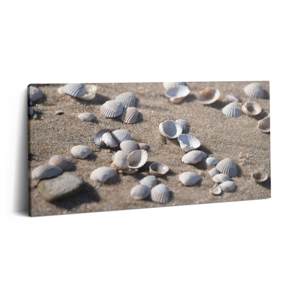 Obraz z fotografie na plátně 100x50 cm Mušle na pláži