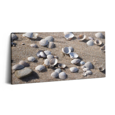 Obraz z fotografie na plátně 100x50 cm Mušle na pláži
