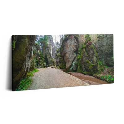 Obraz z fotografie na plátně 100x50 cm Skalní město v České republice