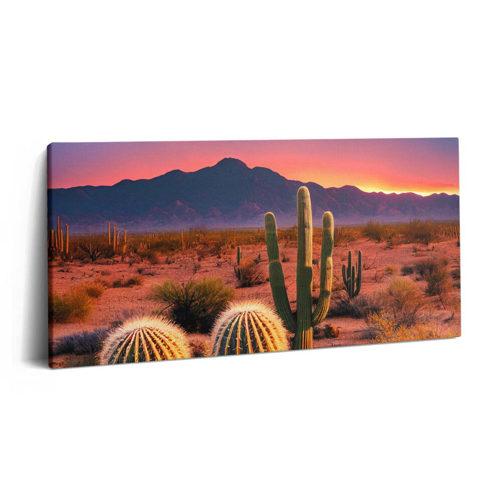 Obraz z fotografie na plátně 100x50 cm Západ slunce v poušti